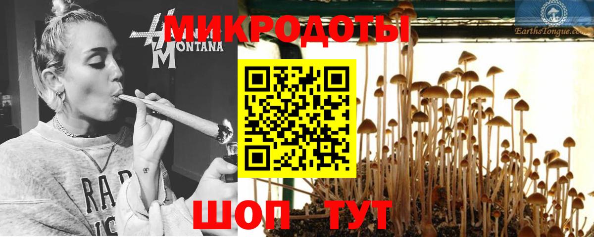 Псилоцибиновые грибы Cubensis Калининград